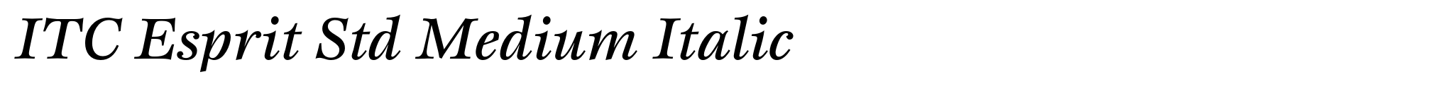 ITC Esprit Std Medium Italic image